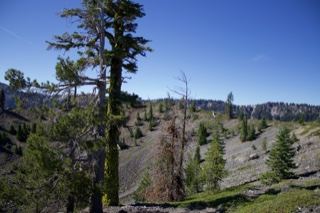 Mountain Slope Forest Under Clear Sky