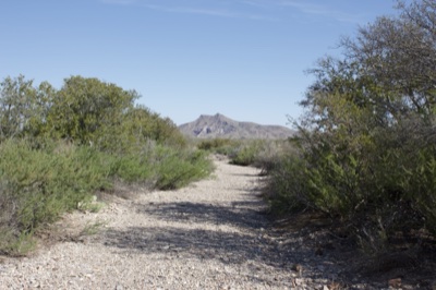 Desert Trail Leading to Mountain