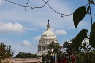 U.S. Capitol Dome Through Foliage