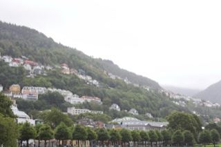 Hillside Town Under Overcast Sky