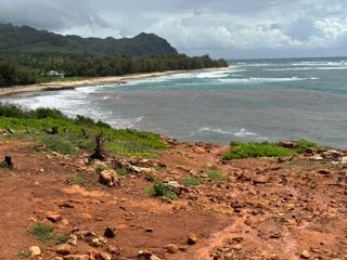 Red Soil Overlooks Tropical Coastline