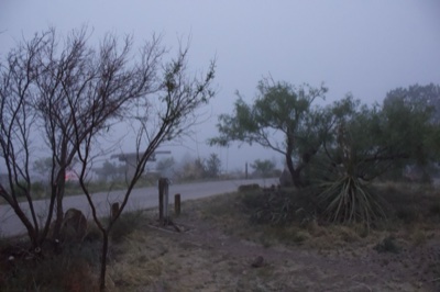 Foggy Rural Roadside at Dawn