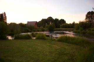 Rural Pond at Sunset