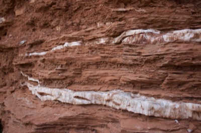 Red Rock With White Mineral Veins