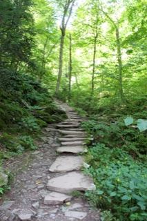 Sunlit Forest Stone Path