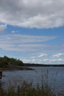 Lake Shore Under Cloudy Sky