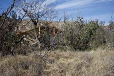 Dry Grassland With Hidden Pavilion