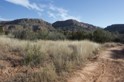 Desert Trail Through Dry Grassland
