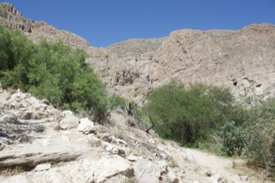 Desert Canyon Trail With Green Shrubs