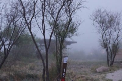 Foggy Trail Marker in Misty Park