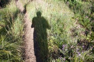 Shadow on Grassy Hiking Trail