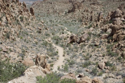 Desert Canyon Trail Overview