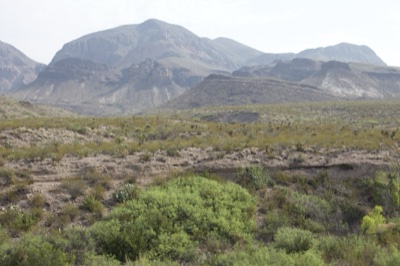 Desert Mountains and Scrub Landscape