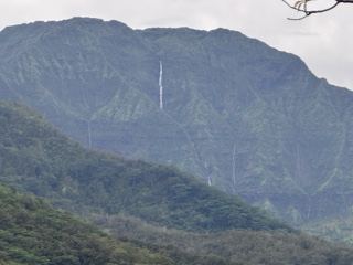 Mountain Waterfall in Lush Green Range