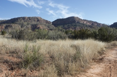 Arid Desert Grassland With Mountains