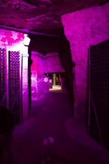 Purple Lit Underground Wine Cellar Corridor