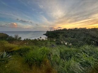 Coastal Sunset Over Lush Hillside