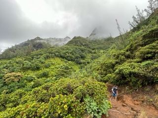 Hiker on Misty Mountain Trail
