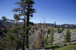 Mountain Forest Ridge Under Clear Sky
