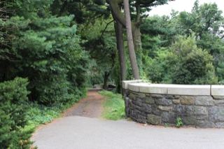 Tree-Lined Park Path With Stone Wall