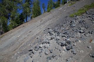 Steep Rocky Slope With Trees