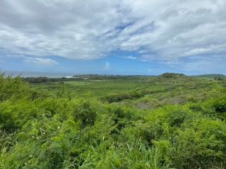 Lush Green Valley Under Cloudy Sky