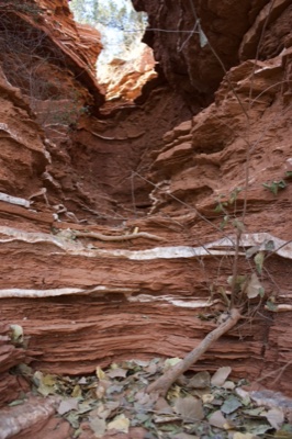 Red Sandstone Canyon Gorge