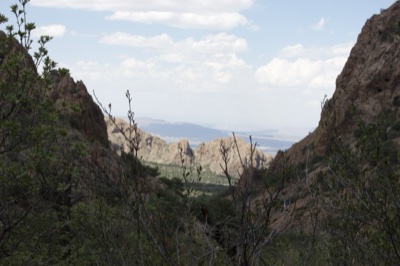 Rocky Canyon View Through Foliage