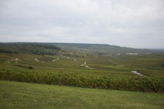 Overcast Rolling Green Valley Landscape