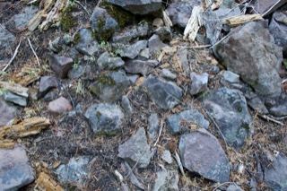 Rocks on Forest Floor