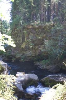 Forest River Rapids With Rocky Cliffs