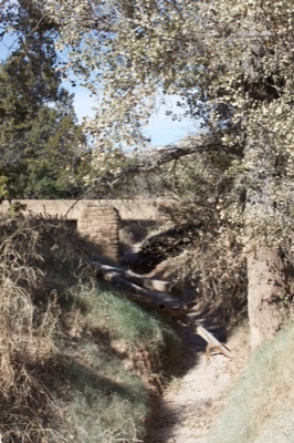 Dry Arroyo With Stone Bridge Under Trees