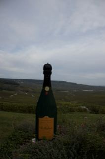 Giant Champagne Bottle Sculpture Landscape