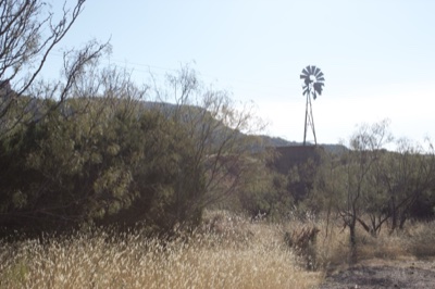 Rural Windmill in Arid Grassland