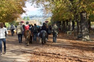 People Leading Horses in Autumn Park
