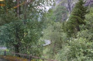 Mountain Forest View Through Window