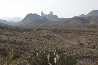 Desert Valley with Cactus and Distant Peaks