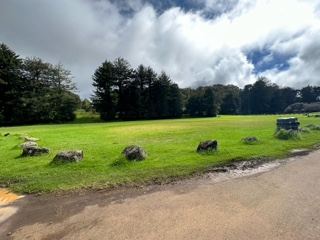 Grassy Field with Rocks and Trees Under Clouds