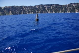 Buoy on Crater Lake with cliffs
