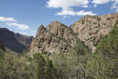 Rocky Desert Mountains with Pine Trees