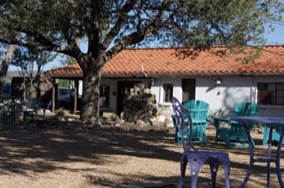 Sunny Courtyard with Chairs and Tree