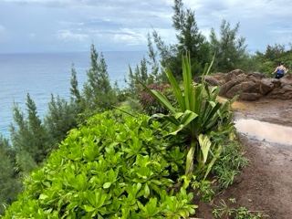 Coastal Cliff Overlooking Ocean