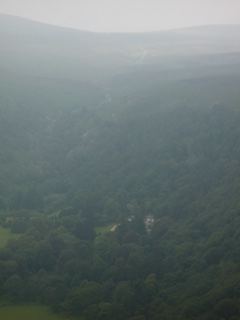 Misty Forested Valley View