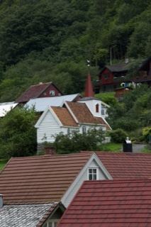 Houses on Forested Hillside
