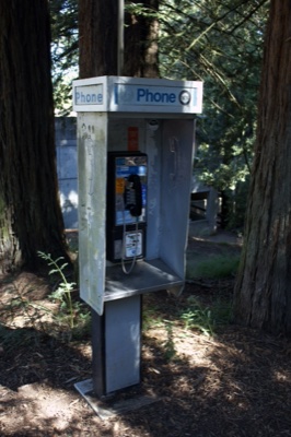 Abandoned Payphone in Forest