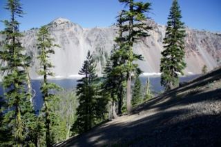 Pine Trees Overlooking Mountain Lake