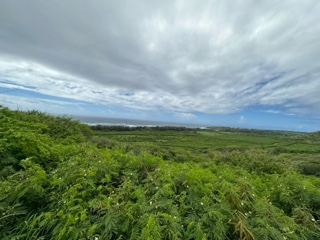 Lush Green Valley Under Cloudy Sky