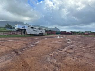 Livestock Trailer in Muddy Dirt Lot