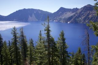 Crater Lake with Forested Shore