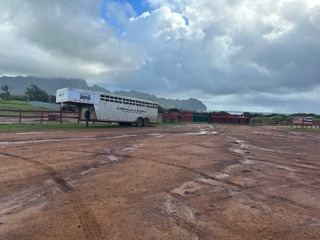 Livestock Trailer in Muddy Lot